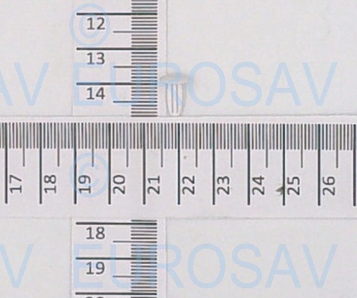 [JN2751982] CACHE TROU