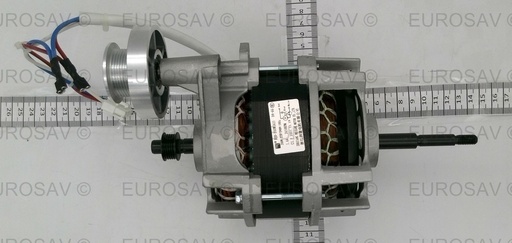 [GSL39428926] MOTEUR